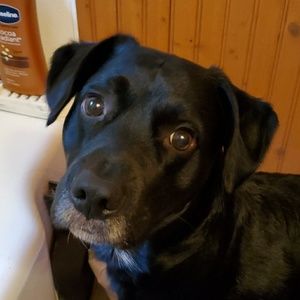 Meet your Posher, Alicia